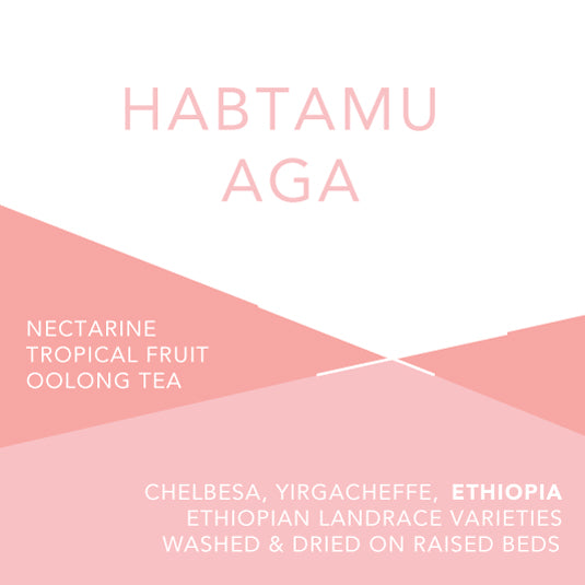 Habtamu Aga