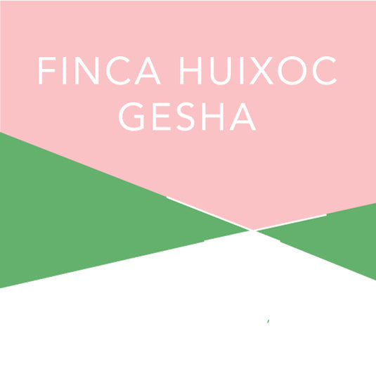 Finca Huixoc Gesha