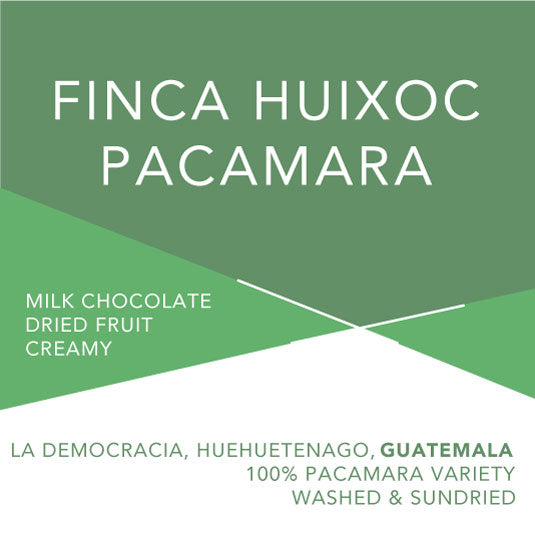 Finca Huixoc Pacamara